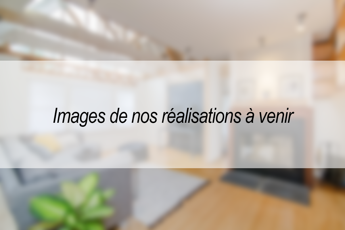 Projet 1